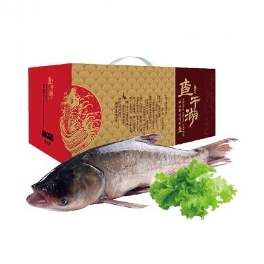 查干湖-壹号胖头鱼礼盒